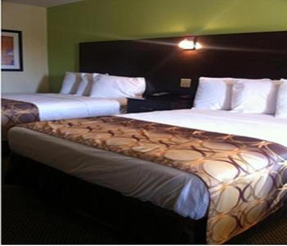 Double Room - Disability Access interior